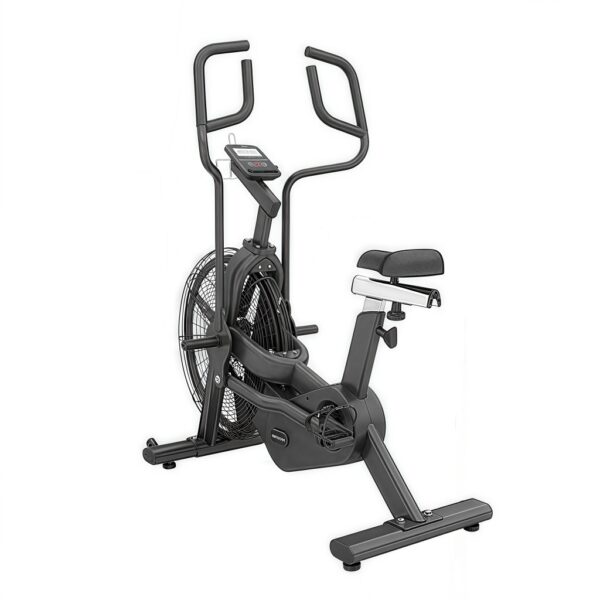 Assault Air Bike Classic