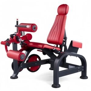 Seated Leg Curl