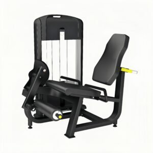 Seated Leg Extension