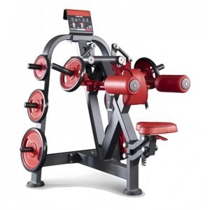 Seated Lateral Raise / Flying Shoulder