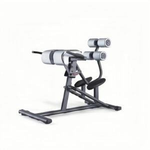 Adjustable Roman Chair