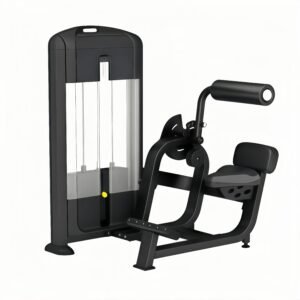 Back Extension Machine