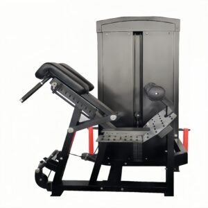 Back Extension Machine