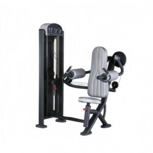 Seated Lateral Raise