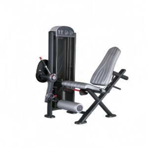 Seated Leg Extension