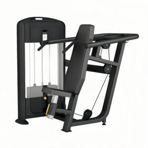 Shoulder Press (Upright)