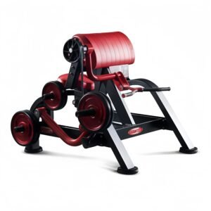 Seated Bicep Curl