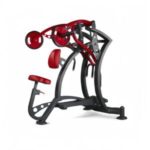 Seated Lat Pulldown