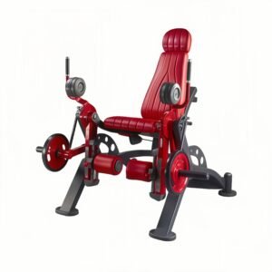 Iso-Lateral Leg Extension