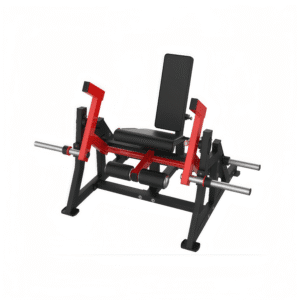 Sitting Leg Extension