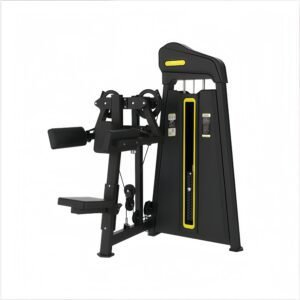 Lateral Raise Machine