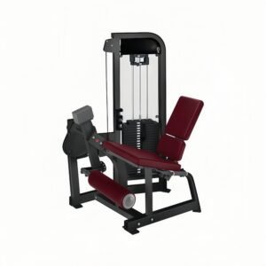 Leg Extension Machine