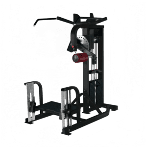 Rotary Torso Machine