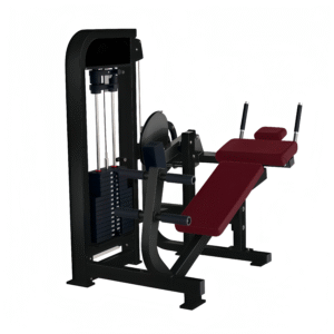Seated Abdominal Crunch Machine_BG1022