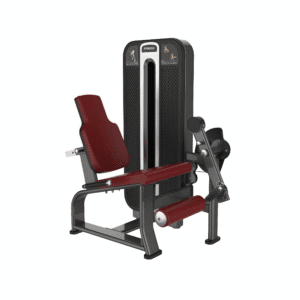 Seated Leg Extension Machine