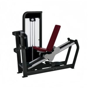 Seated Leg Press Machine