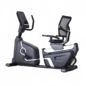 Recumbent Exercise Bike