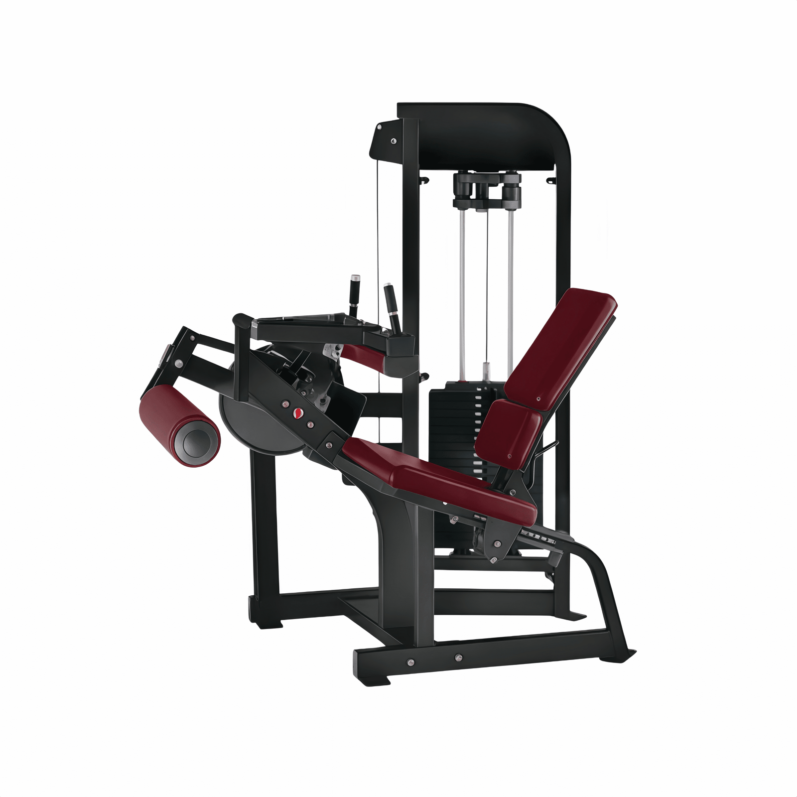 seated leg curl machine