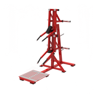 Lateral Raise Machine