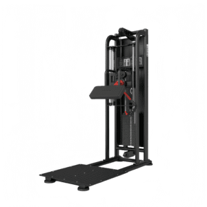 Single Lateral Raise