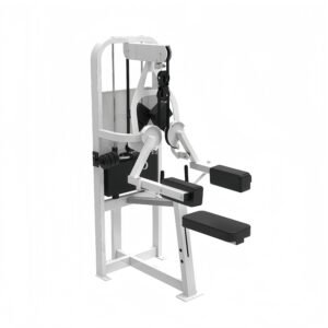 Seated Lateral Raise